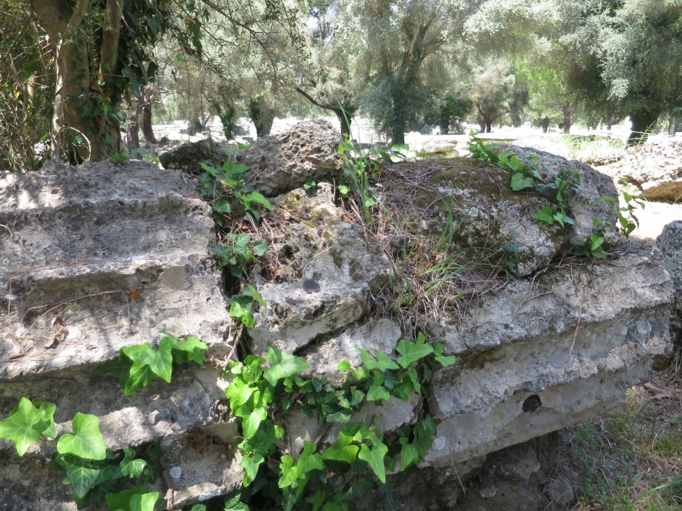 オリンピア遺跡 ゼウスの神殿の石